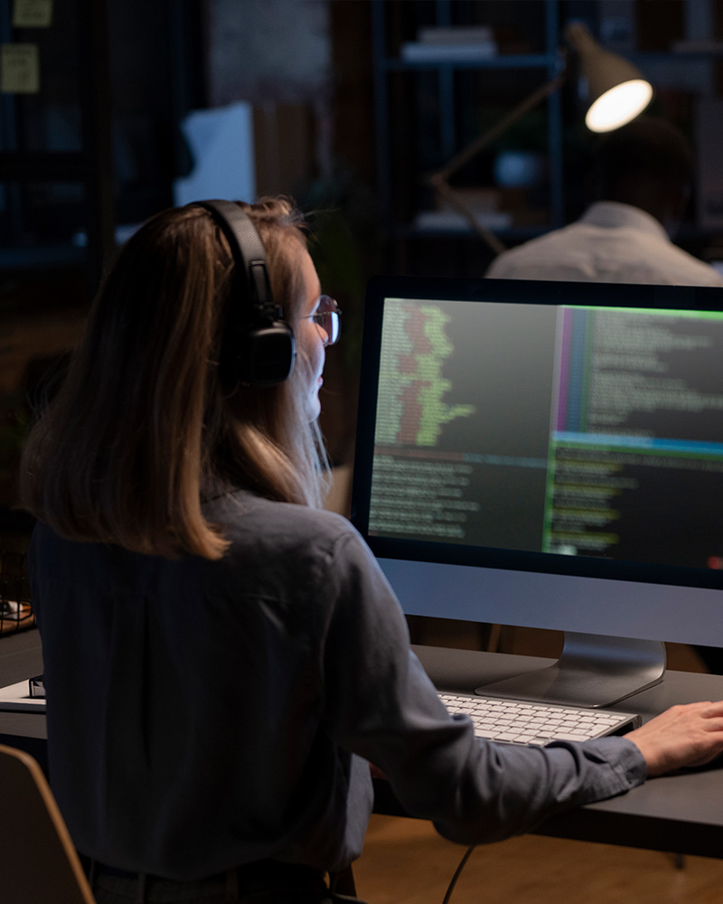 Technical Business Analyst